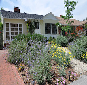 California Native Gardens